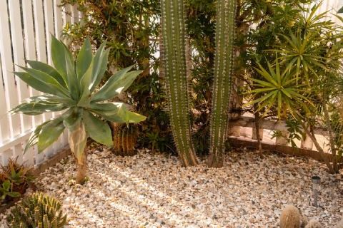 Villa i Vera, Almeria, Vera - € 200.000 | Ref: 38/13949 - foto 12