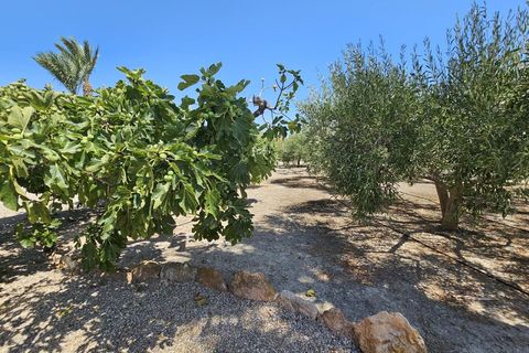 Villa i Mojacar, Almeria, Mojacar - € 398.000 | Ref: 46/13949 - foto 44