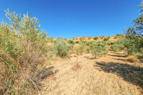 Villa a Lubrin, Almeria, Lubrin - € 325.000 | Ref: 75/13949 - foto 49
