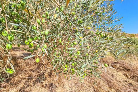 Villa a Lubrin, Almeria, Lubrin - € 325.000 | Ref: 75/13949 - foto 50