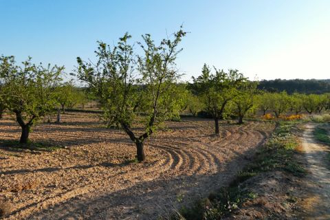Finca i Batea, Tarragona, Batea - € 56.000 | Ref: 1110 - foto 45