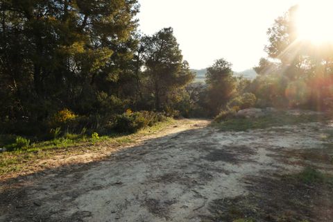 Finca i Batea, Tarragona, Batea - € 56.000 | Ref: 1110 - foto 44