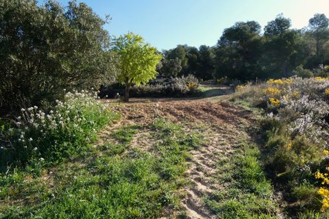 Finca i Batea, Tarragona, Batea - € 56.000 | Ref: 1110 - foto 37