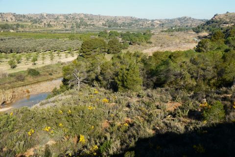 Finca i Batea, Tarragona, Batea - € 56.000 | Ref: 1110 - foto 30