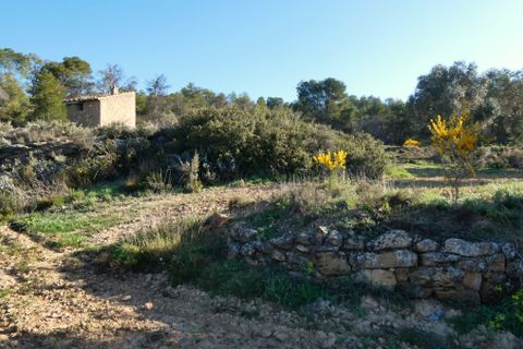 Finca i Batea, Tarragona, Batea - € 56.000 | Ref: 1110 - foto 21