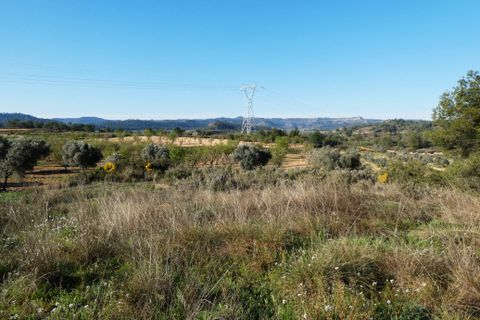 Finca i Batea, Tarragona, Batea - € 56.000 | Ref: 1110 - foto 11