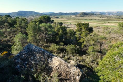 Finca i Batea, Tarragona, Batea - € 56.000 | Ref: 1110 - foto 27