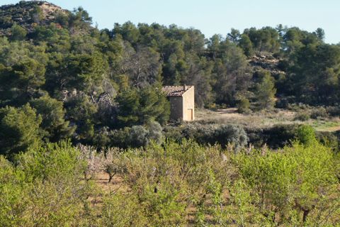 Finca i Batea, Tarragona, Batea - € 56.000 | Ref: 1110 - foto 32