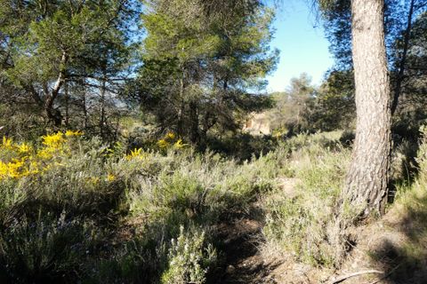 Finca i Batea, Tarragona, Batea - € 56.000 | Ref: 1110 - foto 6