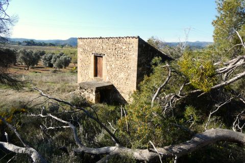 Finca i Batea, Tarragona, Batea - € 56.000 | Ref: 1110 - foto 19