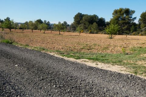 Finca i Batea, Tarragona, Batea - € 56.000 | Ref: 1110 - foto 43