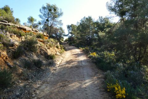 Finca i Batea, Tarragona, Batea - € 56.000 | Ref: 1110 - foto 41