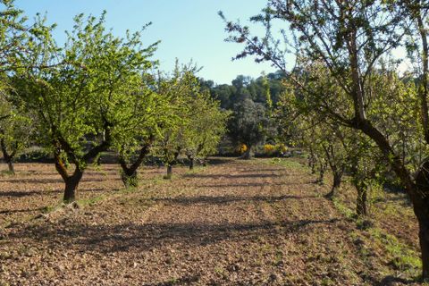 Finca i Batea, Tarragona, Batea - € 56.000 | Ref: 1110 - foto 33
