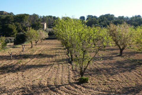 Finca i Batea, Tarragona, Batea - € 56.000 | Ref: 1110 - foto 25