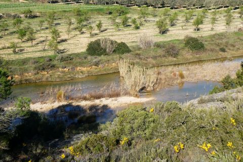 Finca i Batea, Tarragona, Batea - € 56.000 | Ref: 1110 - foto 29