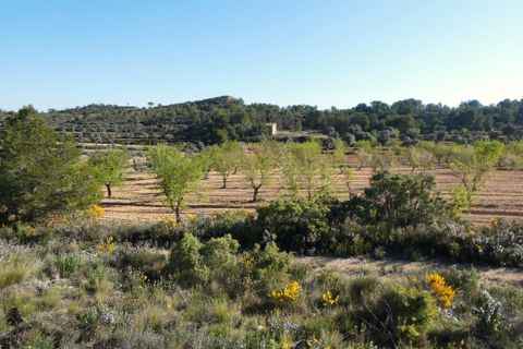 Finca i Batea, Tarragona, Batea - € 56.000 | Ref: 1110 - foto 31