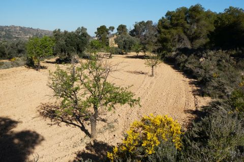 Finca i Batea, Tarragona, Batea - € 56.000 | Ref: 1110 - foto 39