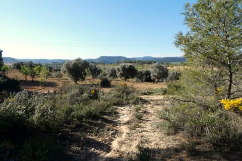 Finca i Batea, Tarragona, Batea - € 56.000 | Ref: 1110 - foto 8