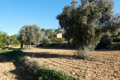 Finca i Batea, Tarragona, Batea - € 56.000 | Ref: 1110 - foto 24