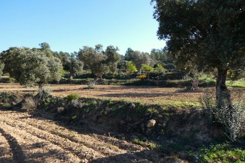 Finca i Batea, Tarragona, Batea - € 56.000 | Ref: 1110 - foto 35