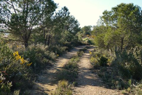 Finca i Batea, Tarragona, Batea - € 56.000 | Ref: 1110 - foto 26