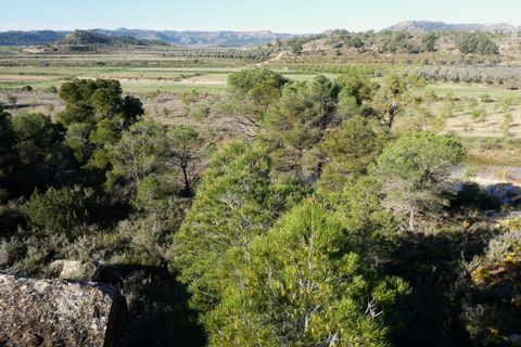 Finca i Batea, Tarragona, Batea - € 56.000 | Ref: 1110 - foto 28