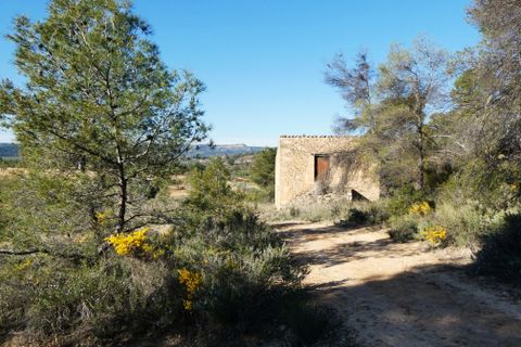 Finca i Batea, Tarragona, Batea - € 56.000 | Ref: 1110 - foto 7