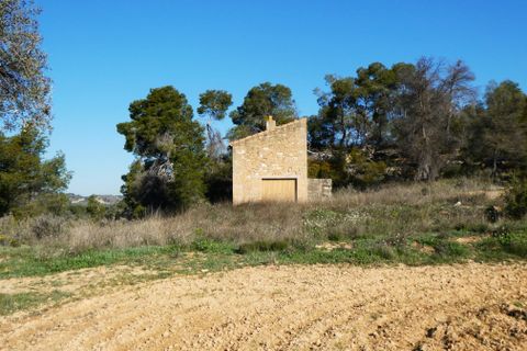 Finca i Batea, Tarragona, Batea - € 56.000 | Ref: 1110 - foto 40