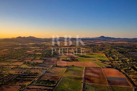 Landejendom i Manacor, Mallorca, Manacor - € 2.500.000 | Ref: 071505 - foto 15
