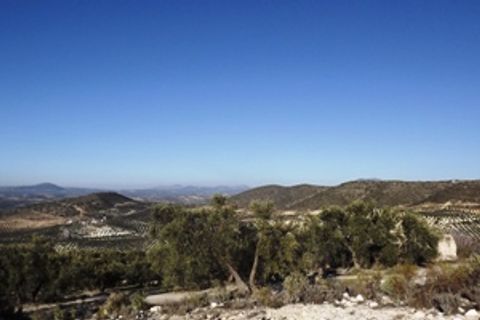 Finca i Antequera, Malaga, Antequera - € 45.000 | Ref: ID4111 - foto 15