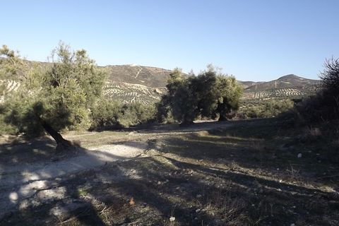 Finca i Antequera, Malaga, Antequera - € 45.000 | Ref: ID4111 - foto 12