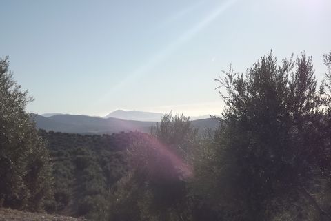 Finca i Antequera, Malaga, Antequera - € 45.000 | Ref: ID4111 - foto 31