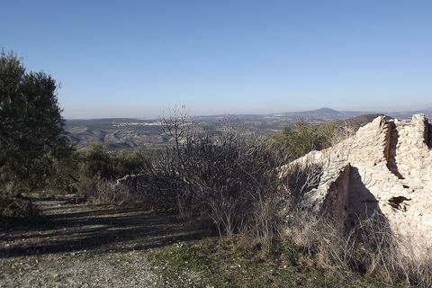 Finca i Antequera, Malaga, Antequera - € 45.000 | Ref: ID4111 - foto 11