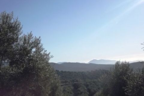 Finca i Antequera, Malaga, Antequera - € 45.000 | Ref: ID4111 - foto 41