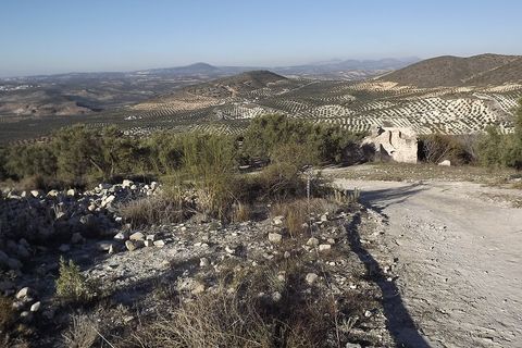 Finca i Antequera, Malaga, Antequera - € 45.000 | Ref: ID4111 - foto 14