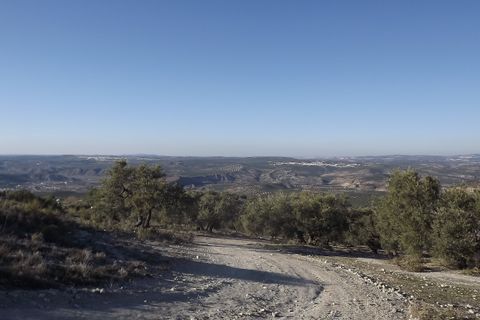 Finca i Antequera, Malaga, Antequera - € 45.000 | Ref: ID4111 - foto 19