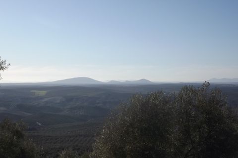 Finca i Antequera, Malaga, Antequera - € 45.000 | Ref: ID4111 - foto 30
