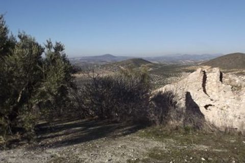 Finca i Antequera, Malaga, Antequera - € 45.000 | Ref: ID4111 - foto 35