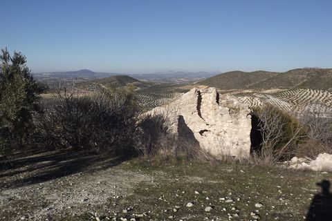 Finca i Antequera, Malaga, Antequera - € 45.000 | Ref: ID4111 - foto 26