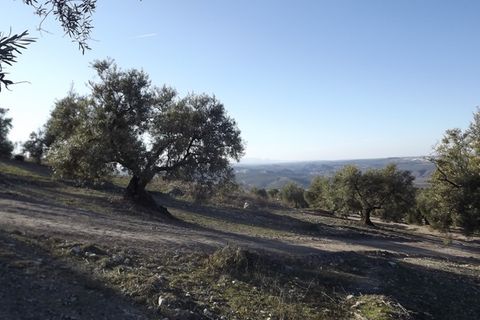 Finca i Antequera, Malaga, Antequera - € 45.000 | Ref: ID4111 - foto 21