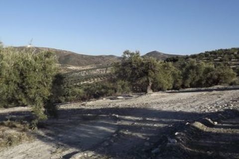 Finca i Antequera, Malaga, Antequera - € 45.000 | Ref: ID4111 - foto 38
