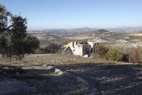 Finca i Antequera, Malaga, Antequera - € 45.000 | Ref: ID4111 - foto 3