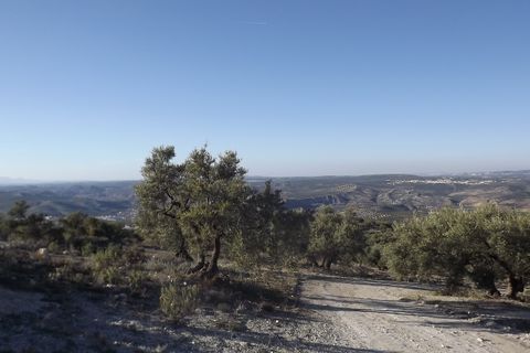 Finca i Antequera, Malaga, Antequera - € 45.000 | Ref: ID4111 - foto 8