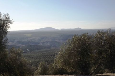 Finca i Antequera, Malaga, Antequera - € 45.000 | Ref: ID4111 - foto 29