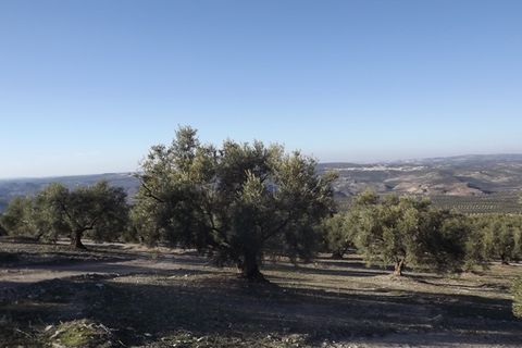 Finca i Antequera, Malaga, Antequera - € 45.000 | Ref: ID4111 - foto 20