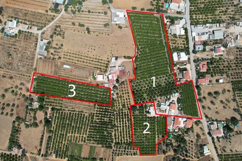 Villa i Faro, Faro, Faro - € 550.000 | Ref: 025260011 - foto 1