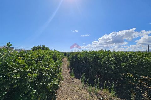 Villa i Faro, Faro, Faro - € 550.000 | Ref: 025260011 - foto 22