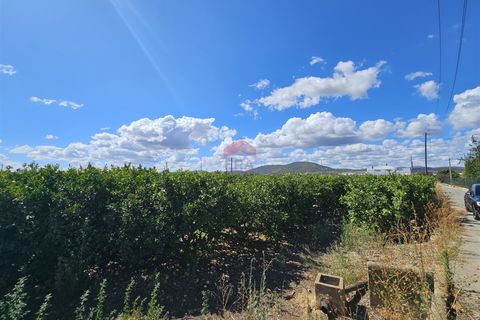 Villa i Faro, Faro, Faro - € 550.000 | Ref: 025260011 - foto 23
