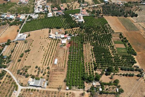 Villa i Faro, Faro, Faro - € 550.000 | Ref: 025260011 - foto 25