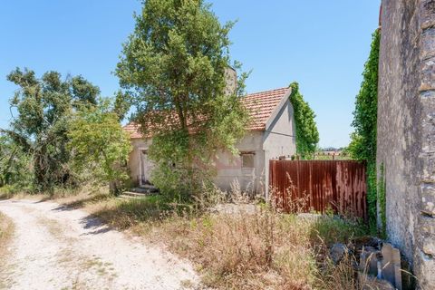 Villa i Leiria, Leiria, Leiria - € 136.000 | Ref: CV11012-20 - foto 6